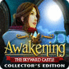 Awakening: The Skyward Castle Collector's Edition 游戏