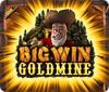 Big Win Goldmine 游戏