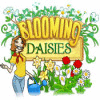 Blooming Daisies 游戏