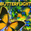 Butterflight 游戏