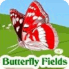 Butterfly Fields 游戏