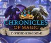 Chronicles of Magic: The Divided Kingdoms 游戏