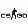 Counter-Strike: Global Offensive 游戏