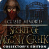 Cursed Memories: The Secret of Agony Creek Collector's Edition 游戏