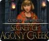 Cursed Memories: The Secret of Agony Creek 游戏