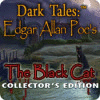 Dark Tales: Edgar Allan Poe's The Black Cat Collector's Edition 游戏