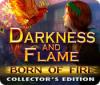 Darkness and Flame: Born of Fire Collector's Edition 游戏