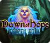 Dawn of Hope: Frozen Soul 游戏