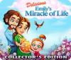 Delicious: Emily's Miracle of Life Collector's Edition 游戏