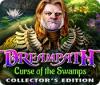 Dreampath: Curse of the Swamps Collector's Edition 游戏