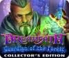 Dreampath: Guardian of the Forest Collector's Edition 游戏