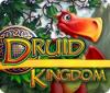 Druid Kingdom 游戏