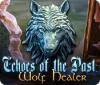Echoes of the Past: Wolf Healer 游戏