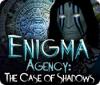 Enigma Agency: The Case of Shadows 游戏