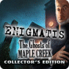 Enigmatis: The Ghosts of Maple Creek Collector's Edition 游戏