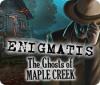 Enigmatis: The Ghosts of Maple Creek 游戏
