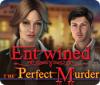 Entwined: The Perfect Murder 游戏