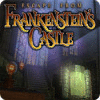 Escape from Frankenstein's Castle 游戏