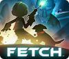 Fetch 游戏