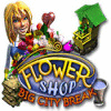 Flower Shop: Big City Break 游戏