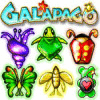 Galapago 游戏