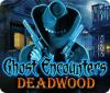Ghost Encounters: Deadwood 游戏