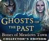 Ghosts of the Past: Bones of Meadows Town Collector's Edition 游戏