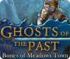 Ghosts of the Past: Bones of Meadows Town 游戏