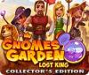 Gnomes Garden: Lost King Collector's Edition 游戏