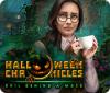 Halloween Chronicles: Evil Behind a Mask 游戏
