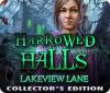 Harrowed Halls: Lakeview Lane Collector's Edition 游戏