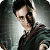 Harry Potter: Fight the Death Eaters 游戏