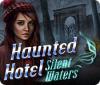 Haunted Hotel: Silent Waters 游戏