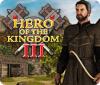 Hero of the Kingdom III 游戏