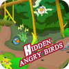 Hidden Angry Birds 游戏