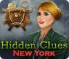 Hidden Clues: New York 游戏