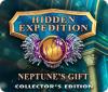 Hidden Expedition: Neptune's Gift Collector's Edition 游戏