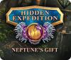 Hidden Expedition: Neptune's Gift 游戏