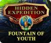 Hidden Expedition: The Fountain of Youth 游戏