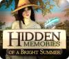 Hidden Memories of a Bright Summer 游戏