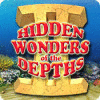Hidden Wonders of the Depths 2 游戏