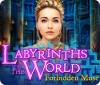 Labyrinths of the World: Forbidden Muse 游戏