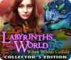Labyrinths of the World: When Worlds Collide Collector's Edition 游戏