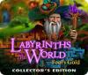 Labyrinths of the World: Fool's Gold Collector's Edition 游戏