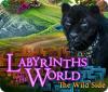 Labyrinths of the World: The Wild Side 游戏