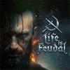 Life is Feudal 游戏