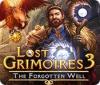 Lost Grimoires 3: The Forgotten Well 游戏