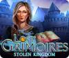 Lost Grimoires: Stolen Kingdom 游戏
