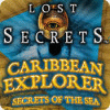Lost Secrets: Caribbean Explorer Secrets of the Sea 游戏
