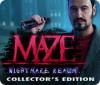 Maze: Nightmare Realm Collector's Edition 游戏